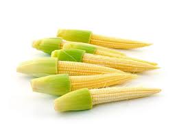 Manufacturers Exporters and Wholesale Suppliers of Baby Corn Erode Tamil Nadu